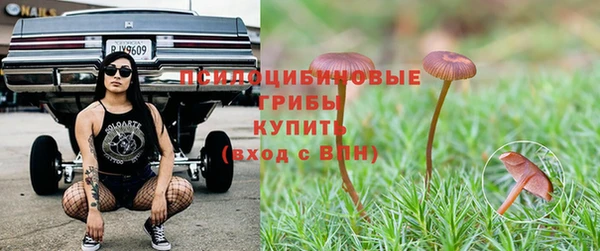 MDMA Лагань